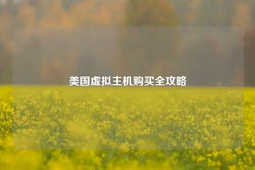 美国虚拟主机购买全攻略