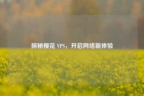 探秘樱花 VPS，开启网络新体验