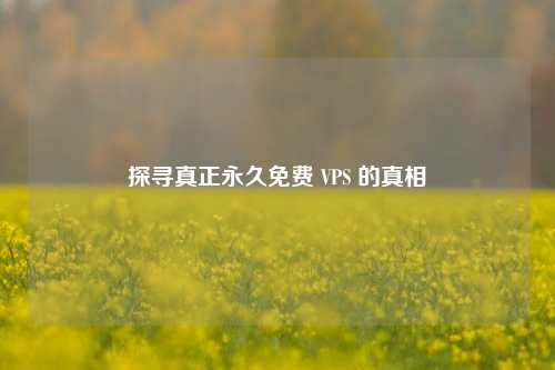 探寻真正永久免费 VPS 的真相