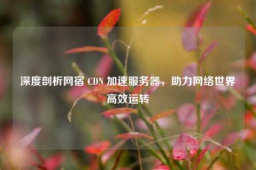 深度剖析网宿 CDN 加速服务器，助力网络世界高效运转