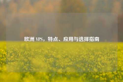 欧洲 VPS，特点、应用与选择指南