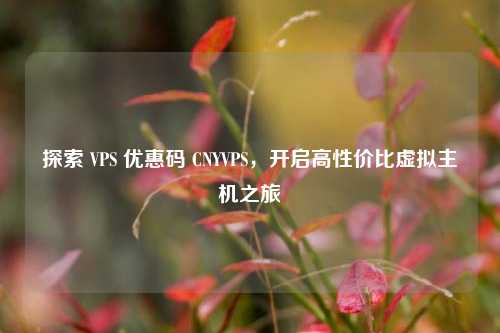探索 VPS 优惠码 CNYVPS，开启高性价比虚拟主机之旅