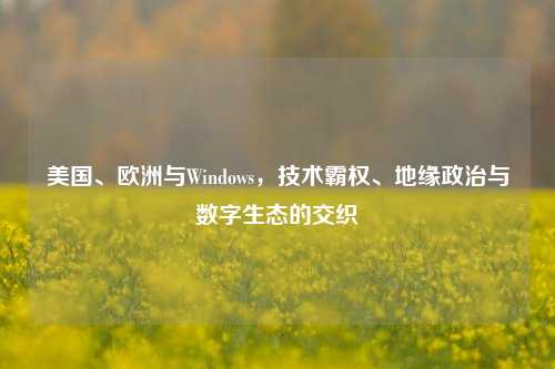 美国、欧洲与Windows，技术霸权、地缘政治与数字生态的交织