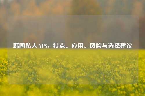 韩国私人 VPS，特点、应用、风险与选择建议