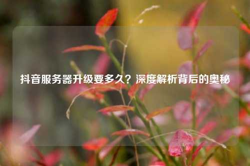 抖音服务器升级要多久？深度解析背后的奥秘
