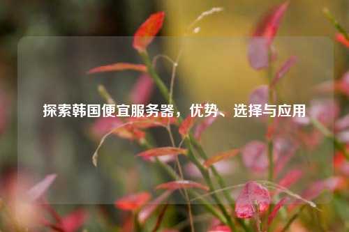 探索韩国便宜服务器，优势、选择与应用