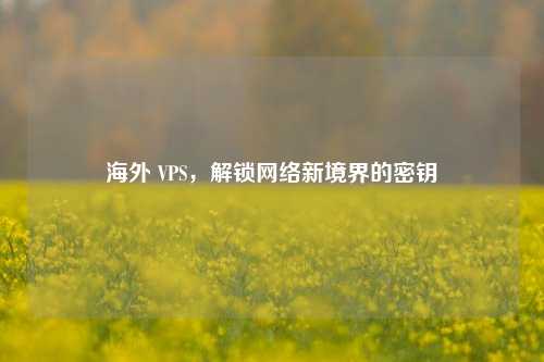 海外 VPS，解锁网络新境界的密钥