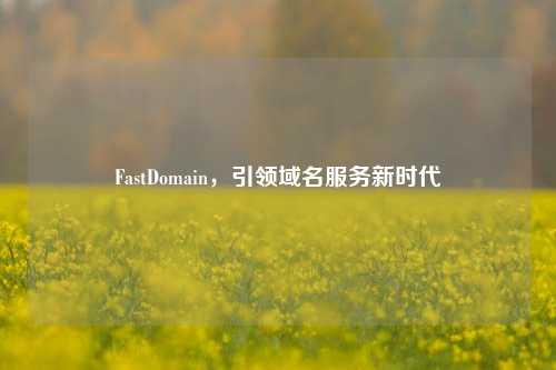 FastDomain，引领域名服务新时代