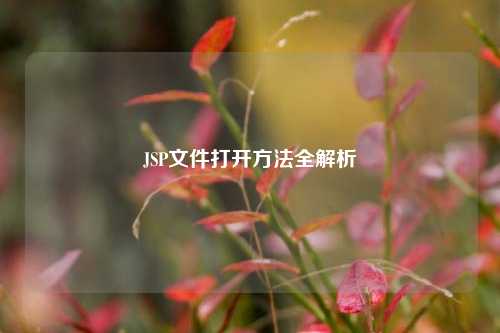JSP文件打开方法全解析