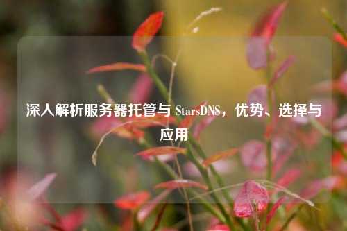 深入解析服务器托管与 StarsDNS，优势、选择与应用