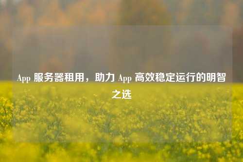 App 服务器租用，助力 App 高效稳定运行的明智之选