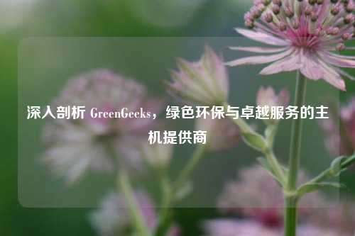 深入剖析 GreenGeeks，绿色环保与卓越服务的主机提供商