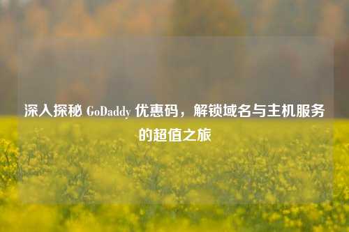 深入探秘 GoDaddy 优惠码，解锁域名与主机服务的超值之旅