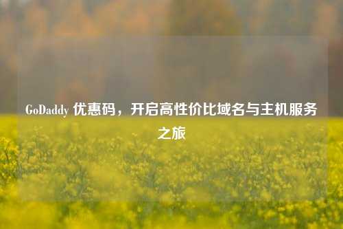 GoDaddy 优惠码，开启高性价比域名与主机服务之旅