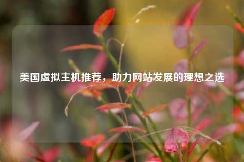 美国虚拟主机推荐，助力网站发展的理想之选