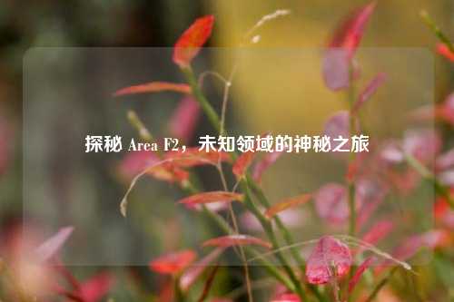 探秘 Area F2，未知领域的神秘之旅