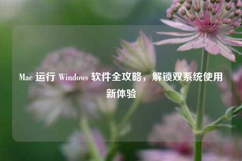 Mac 运行 Windows 软件全攻略，解锁双系统使用新体验