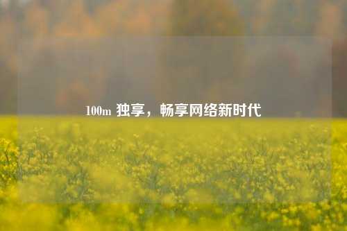 100m 独享，畅享网络新时代