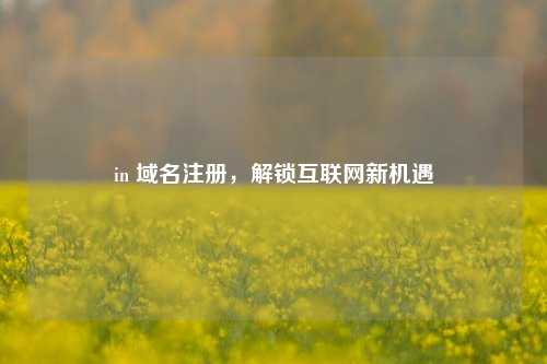 in 域名注册，解锁互联网新机遇