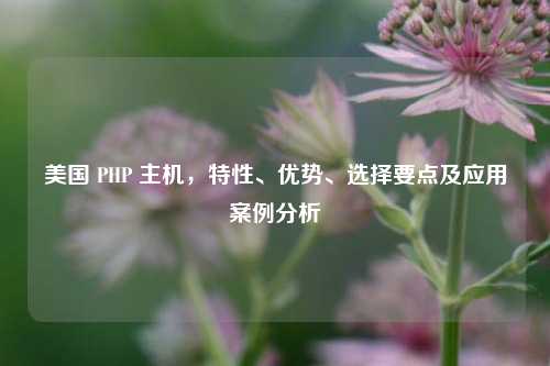 美国 PHP 主机，特性、优势、选择要点及应用案例分析