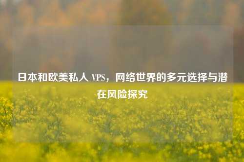 日本和欧美私人 VPS，网络世界的多元选择与潜在风险探究