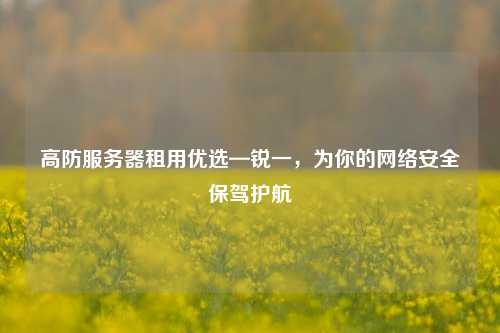 高防服务器租用优选—锐一，为你的网络安全保驾护航
