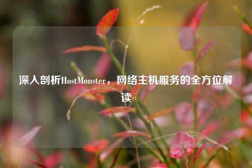 深入剖析HostMonster，网络主机服务的全方位解读