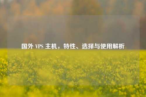 国外 VPS 主机，特性、选择与使用解析