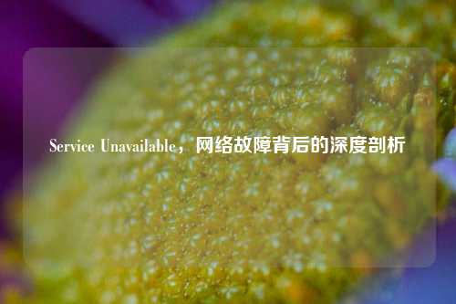 Service Unavailable，网络故障背后的深度剖析
