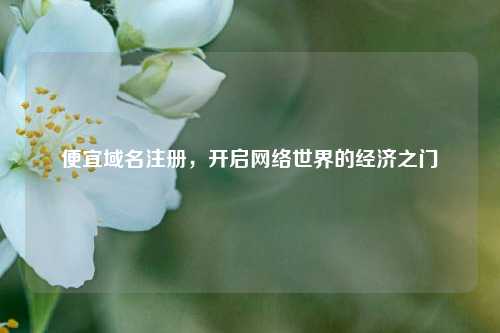 便宜域名注册，开启网络世界的经济之门