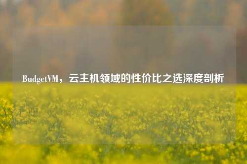 BudgetVM，云主机领域的性价比之选深度剖析