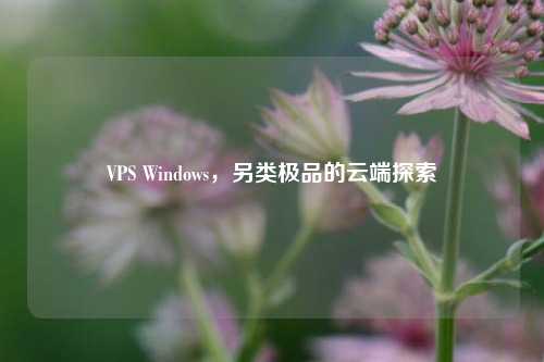 VPS Windows，另类极品的云端探索