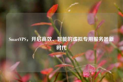 SmartVPS，开启高效、智能的虚拟专用服务器新时代