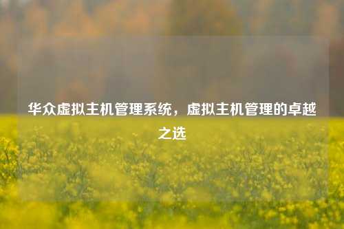 华众虚拟主机管理系统，虚拟主机管理的卓越之选
