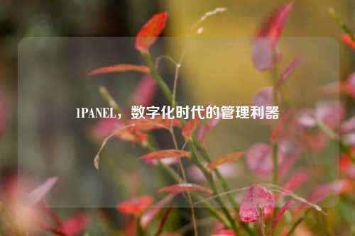 1PANEL，数字化时代的管理利器
