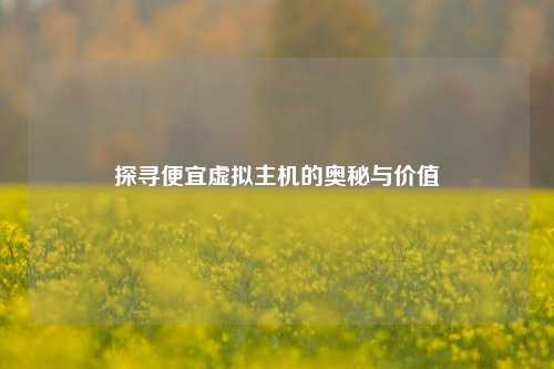 探寻便宜虚拟主机的奥秘与价值