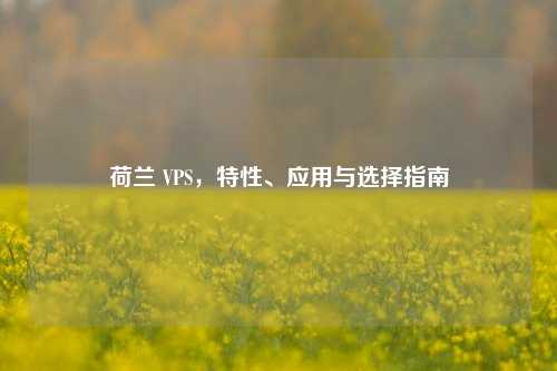 荷兰 VPS，特性、应用与选择指南