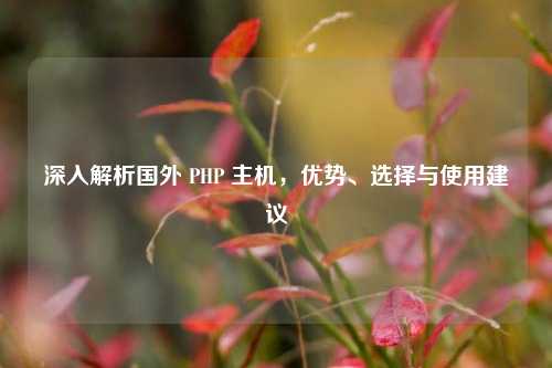 深入解析国外 PHP 主机，优势、选择与使用建议