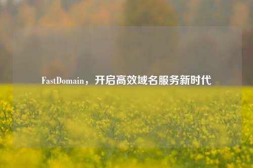 FastDomain，开启高效域名服务新时代