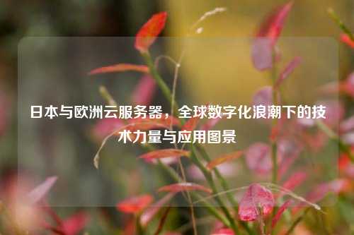 日本与欧洲云服务器，全球数字化浪潮下的技术力量与应用图景