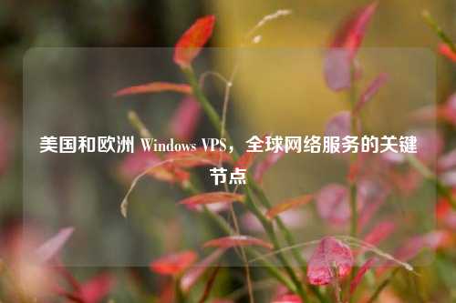 美国和欧洲 Windows VPS，全球网络服务的关键节点