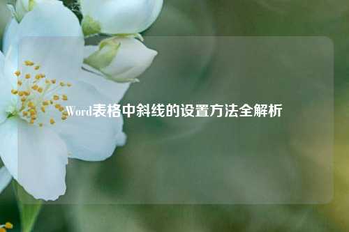 Word表格中斜线的设置方法全解析