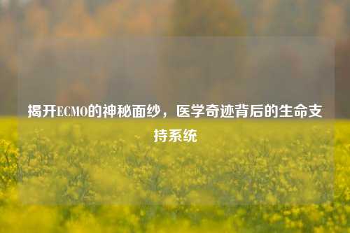 揭开ECMO的神秘面纱，医学奇迹背后的生命支持系统