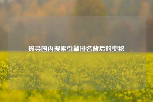 探寻国内搜索引擎排名背后的奥秘