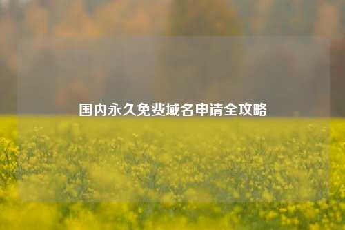 国内永久免费域名申请全攻略