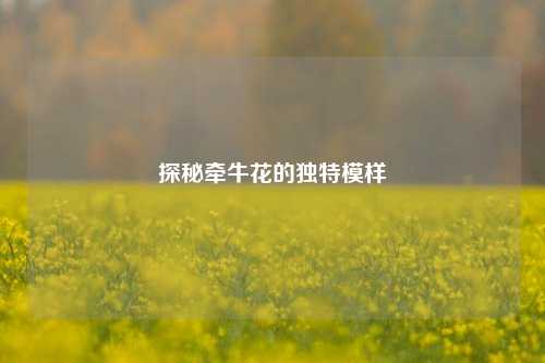 探秘牵牛花的独特模样