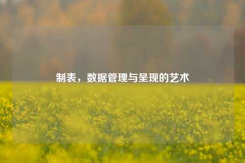 制表，数据管理与呈现的艺术