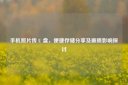 手机照片传 U 盘，便捷存储分享及画质影响探讨