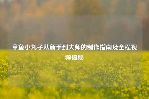 章鱼小丸子从新手到大师的     指南及全程视频揭秘