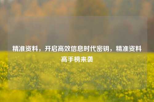 精准资料，开启高效信息时代密钥，精准资料高手榜来袭